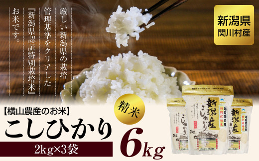 [先行予約] R7年産 関川村産こしひかり6kg ふっくら美味しさ 岩船米 [横山農産]【1347088】 713996 - 新潟県関川村