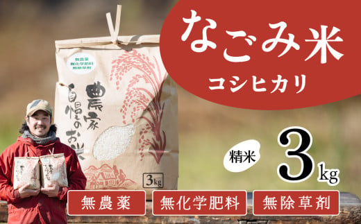 茨城県下妻市産 なごみ米（コシヒカリ） 精米 3kg　【お米 コシヒカリ 米 無農薬 無化学肥料 無除草剤 精米 自然 農法 茨城県産】