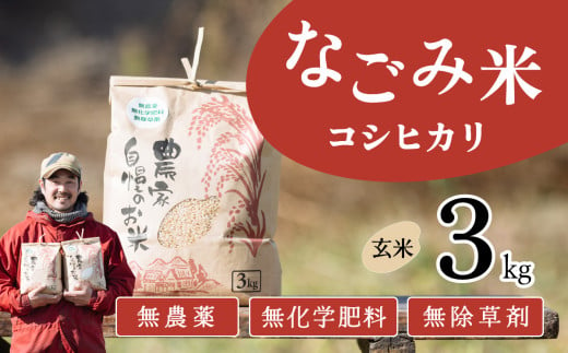 茨城県下妻市産 なごみ米（コシヒカリ） 玄米 3kg　【お米 コシヒカリ 米 無農薬 無化学肥料 無除草剤 玄米 自然 農法 茨城県産】