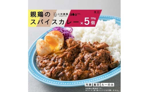 【全6回定期便】親鶏のスパイスカレー 5個（辛口）《厚真町》【テンアール株式会社】 カレー スパイスカレー 辛口 鶏 鶏肉 平飼い 冷凍配送 北海道 [AXAN087]