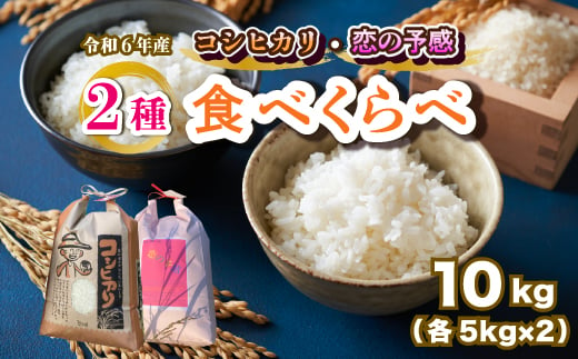 [令和6年産]お米2種食べ比べ 恋の予感5kg コシヒカリ5kg 白米 お米 米 精米 ごはん ご飯 広島県 三原市 187008