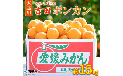 ＜愛媛県明浜産 吉田ポンカン 家庭用 約15kg＞ 果物 くだもの フルーツ みかん ミカン 柑橘 吉田ぽんかん よしだぽんかん ヨシダポンカン 訳あり ご自宅用 特産品 愛媛県 西予市【常温】