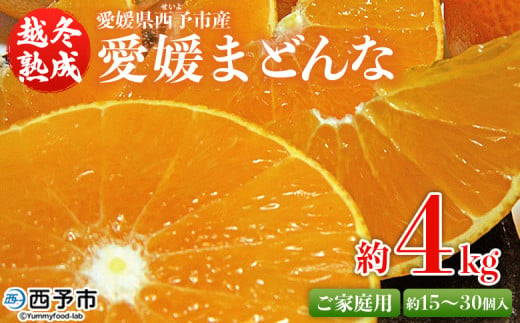 紅まどんなと同品種！＜愛媛県西予市産 越冬熟成 愛媛まどんな ご家庭用 約4kg＞ 訳あり みかん 蜜柑 ミカン 柑橘 果物 フルーツ 愛媛果試第28号 期間限定 マドンナ 愛媛マドンナ