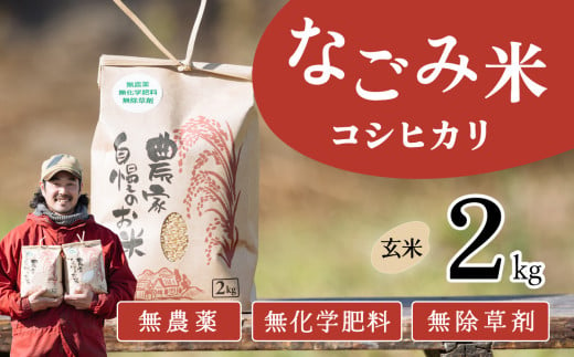 茨城県下妻市産 なごみ米（コシヒカリ） 玄米 2kg　【お米 コシヒカリ 米 無農薬 無化学肥料 無除草剤 玄米 自然 農法 茨城県産】