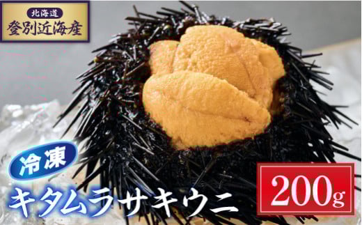 先行予約 登別近海産 キタムラサキウニ 冷凍パック200g【6月以降順次配送】| うに 高級 ウニ 雲丹 生ウニ キタムラサキウニ 小分け 北海道 ふるさと 人気 ランキング 送料無料 