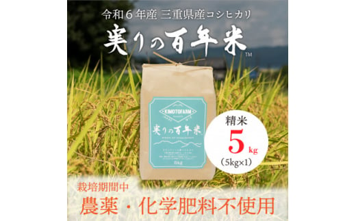 令和6年産 実りの百年米(栽培期間中　農薬・化学肥料不使用) 精米5kg【1452850】