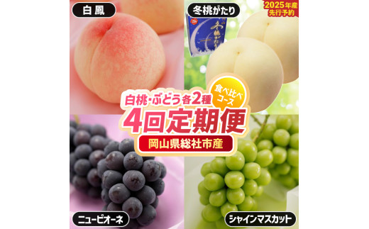 【4回定期便】白桃・ぶどう各2種食べ比べコース（白鳳・冬桃がたり・ニューピオーネ・シャインマスカット）岡山県総社市産【2025年産先行予約】25-099-001