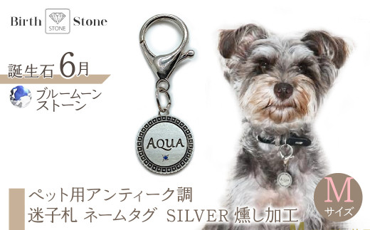 ｅｊブランド『　i-LACQ　』アイ・ラシク ペット用アンティーク調　迷子札　ネームタグ SILVER　燻し加工　Mサイズ　6月　ブルームーンストーン ALPDL024_6 1941312 - 山梨県南アルプス市