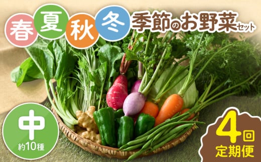 【全４回定期便】春夏秋冬 季節のお野菜セット（サイズ中） 【宮崎県 10種 定期便 詰め合わせ 新鮮 産地直送 おまかせ 季節の野菜 ボックス 農家直送 有機栽培 送料無料 オーガニックのまち 宮崎県綾町】