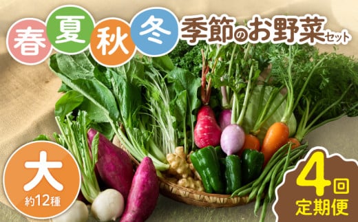 【全４回定期便】春夏秋冬 季節のお野菜セット（サイズ大） 【宮崎県 12種 定期便 詰め合わせ 新鮮 産地直送 おまかせ 季節の野菜 ボックス 農家直送 有機栽培 送料無料 オーガニックのまち 宮崎県綾町】