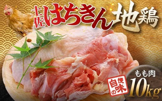 土佐はちきん地鶏 もも肉 10kg 大容量 地鶏 モモ肉 鶏肉 とり肉 とりにく 肉 高知県 大川村 F6R-001 789292 - 高知県大川村