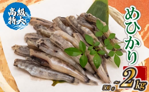 [高級]特大めひかり 500g〜2kg メヒカリ 干物 寒風 天日干し 魚 カルシウム 冷凍 産地直送 ご飯のお供 漁師 おつまみ 高知県 須崎市