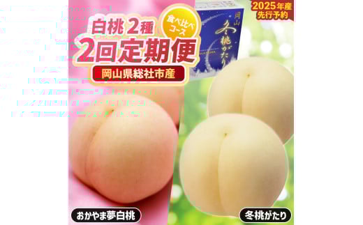 【2回定期便】白桃食べ比べコース（おかやま夢白桃・冬桃がたり）岡山県総社市産【2025年産先行予約】25-063-001