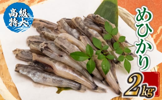 【高級】特大めひかり 2kg メヒカリ 干物 寒風 天日干し 魚 カルシウム 冷凍 産地直送 ご飯のお供 漁師 おつまみ 高知県 須崎市 TKM025 1952870 - 高知県須崎市