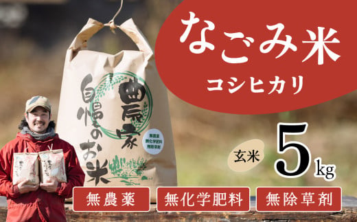 茨城県下妻市産 なごみ米（コシヒカリ） 玄米 5kg　【お米 コシヒカリ 米 無農薬 無化学肥料 無除草剤 玄米 自然 農法 茨城県産】