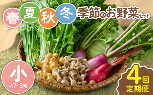 【全４回定期便】春夏秋冬 季節のお野菜セット（サイズ小） 【宮崎県 7～8種 定期便 詰め合わせ 新鮮 産地直送 おまかせ 季節の野菜 ボックス 農家直送 有機栽培 送料無料 オーガニックのまち 宮崎県綾町】