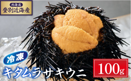 登別近海産 キタムラサキウニ 冷凍パック100g[6月以降順次配送]| うに 高級 ウニ 雲丹 生ウニ キタムラサキウニ 小分け 北海道 ふるさと 人気 ランキング 送料無料