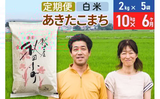 《定期便6ヶ月》令和7年産 あきたこまち特別栽培米10kg（2kg×5袋）×6回 計60kg【白米】秋田県産あきたこまち 6か月 6ヵ月 6カ月 6ケ月 秋田こまち お米 秋田