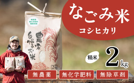 茨城県下妻市産 なごみ米（コシヒカリ） 精米 2kg　【お米 コシヒカリ 米 無農薬 無化学肥料 無除草剤 精米 自然 農法 茨城県産】