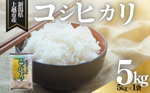 上越市産 新潟 コシヒカリ 5kg こしひかり お米 精米 米 ご飯 1942557 - 新潟県上越市