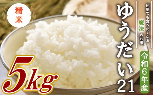 【数量限定】【令和6年産米】 ゆうだい21 精米 5kg  沼津産  米 こめ お米 白米 精米 ブランド米 