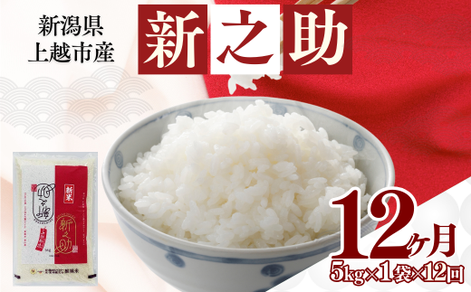 上越市産 新潟 新之助 5kg 12か月定期便 しんのすけ お米 精米 米 ご飯 定期 1942567 - 新潟県上越市