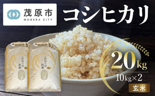 新米 令和7年産 千葉県茂原市産 コシヒカリ  玄米20kg(10kg×2) 【ふるさと納税 おすすめ 人気 ランキング お米 米 精米 コシヒカリ 玄米 千葉県 茂原市】 MBAM009 1509592 - 千葉県茂原市