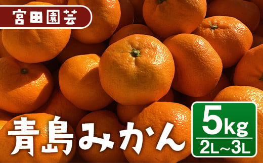 青島みかん(5kg・2L、3Lミックス) みかん 蜜柑 フルーツ 果物 くだもの 柑橘 期間限定【112300400】【宮田園芸】