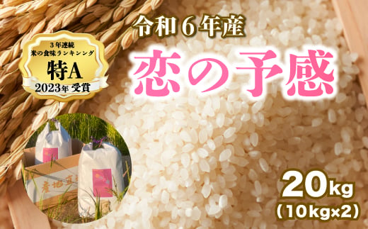 【令和６年産】恋の予感 白米20kg（10kg×2袋） お米 米 精米 ごはん ご飯 広島県 三原市 187003