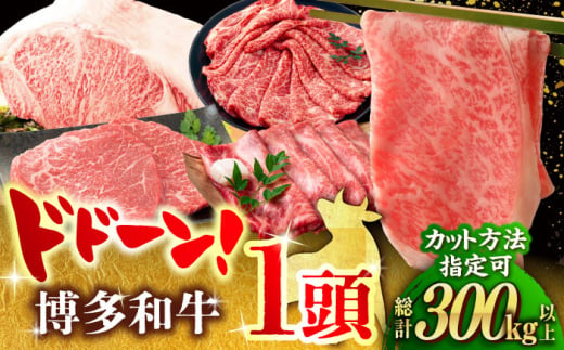 [一頭丸ごとオーダー!] 博多和牛一頭食べ尽くしセット 広川町 / 株式会社MEAT PLUS [AFBO097]