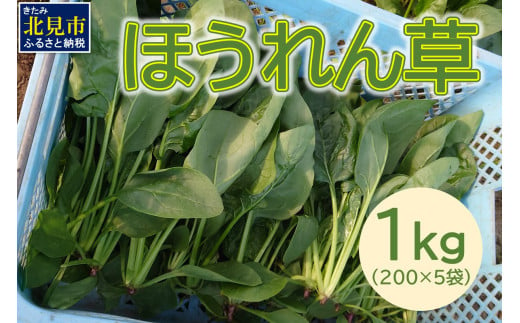 【予約：2025年6月中旬から順次発送】北海道北見産 朝採れ ほうれん草 1kg 200g×5袋 ( 新鮮 採れたて ホウレンソウ ほうれんそう ハウス栽培 )【164-0008】