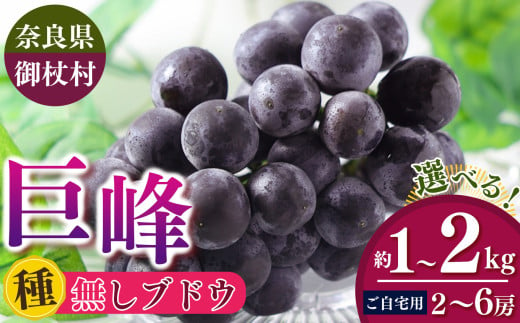 [ご自宅用]奈良みつえのたねなし巨峰 選べるサイズ | ぶどう 巨峰 フルーツ 果物 たねなし 種無 冷蔵 甘い 手土産 数量限定 期間限定 2025年度配送分 1kg 2kg奈良県 御杖村 みつえむら