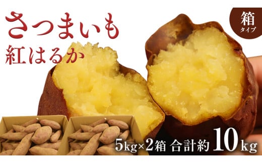 さつまいも【紅はるか】10kg（箱込）の 5kg 2箱セット さつまいも 詰合せ 国産 農園 野菜 サツマイモ 芋 期間限定 デザート スイーツ おやつ プチギフト 贈答用 料理 味噌汁 煮物 生芋