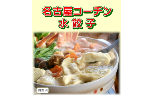 名古屋コーチン水餃子 餃子 水餃子 20個 冷凍 簡単 豚肉 おかず 惣菜 ギフト プレゼント 贈答