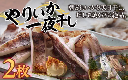 やりいか一夜干し 2枚 MATK030 1486413 - 北海道松前町