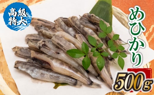 【高級】特大めひかり 500g メヒカリ 干物 寒風 天日干し 魚 カルシウム 冷凍 産地直送 ご飯のお供 漁師 おつまみ 高知県 須崎市 TKM023 1952868 - 高知県須崎市