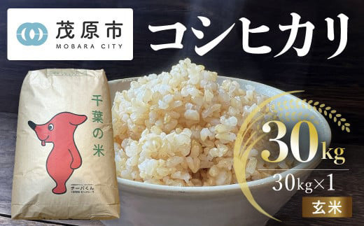 新米 令和7年産 千葉県茂原市産 コシヒカリ 玄米30kg 【ふるさと納税 おすすめ 人気 ランキング お米 米 精米 コシヒカリ 玄米 千葉県 茂原市】MBAM013 1509594 - 千葉県茂原市