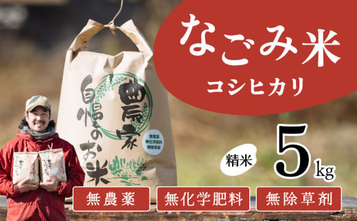 茨城県下妻市産 なごみ米（コシヒカリ） 精米 5kg　【お米 コシヒカリ 米 無農薬 無化学肥料 無除草剤 精米 自然 農法 茨城県産】