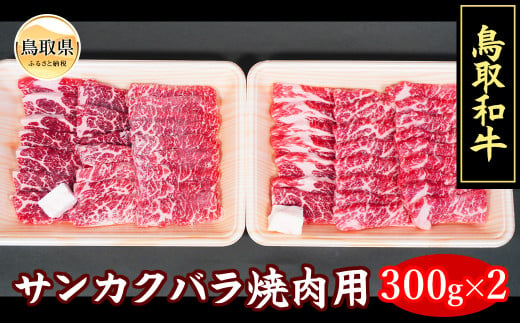 B24-105 鳥取牛サンカクバラ焼肉用　６００ｇ【冷凍】