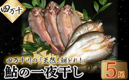 頭からガブッと！四万十川の天然小鮎 一夜干し（5枚セット） Esg-25 あゆ アユ 鮎 魚 魚介 川魚 塩焼き 干物 ひもの 海鮮 903122 - 高知県四万十町