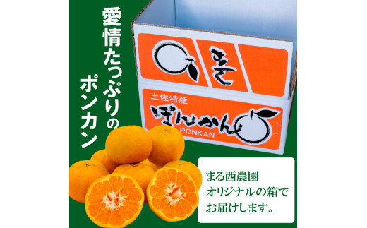 訳あり 家庭用 ポンカン 5kg 2026年1月より発送 早期予約 産地