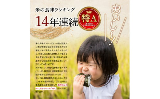 北海道南幌町のふるさと納税 北海道産 ななつぼし 5kg 令和6年産 YES!clean 北海道安心ラベル 米 お米 ライス rice 道産米 北海道南幌町 南幌町 NP1-477