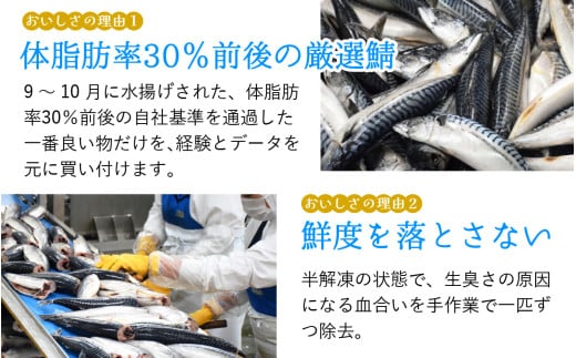 福井県小浜市のふるさと納税 【チョイス缶詰・瓶詰ランキング第2位獲得！】【レビューキャンペーン】鯖缶詰12缶詰め合わせＡ 180g×12缶｜着日指定可 サバ缶 鯖缶 さば缶 鯖 サバ さば 缶詰 サバ缶詰 鯖缶詰 缶 詰合せ 詰め合せ セット 非常食 防災 備蓄 常温 常備食 保存食