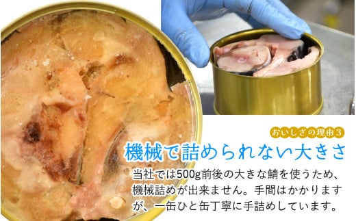 福井県小浜市のふるさと納税 【チョイス缶詰・瓶詰ランキング第2位獲得！】【レビューキャンペーン】鯖缶詰12缶詰め合わせＡ 180g×12缶｜着日指定可 サバ缶 鯖缶 さば缶 鯖 サバ さば 缶詰 サバ缶詰 鯖缶詰 缶 詰合せ 詰め合せ セット 非常食 防災 備蓄 常温 常備食 保存食