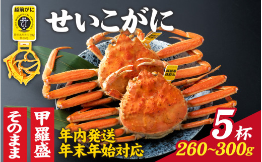 【先行予約】選べる！美味しさ直送【成前特選】せいこがに（260g～300g）×5杯 【年内発送・年末年始対応】甲羅盛【L-028030_07】 /  正月