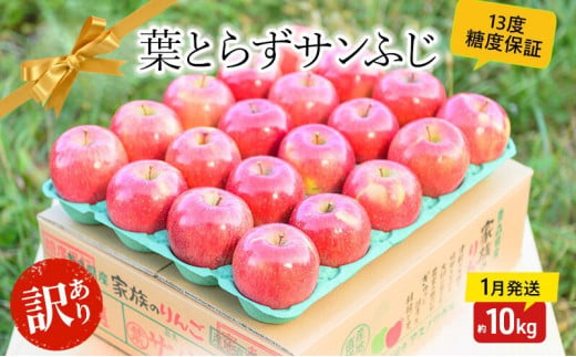 【 1月発送 】 糖度13度以上 訳あり 家庭用 葉とらず サンふじ 約 10kg 【 弘前市産 青森りんご 】 果物 フルーツ デザート 食後 青森県産 産地直送 685870 - 青森県弘前市