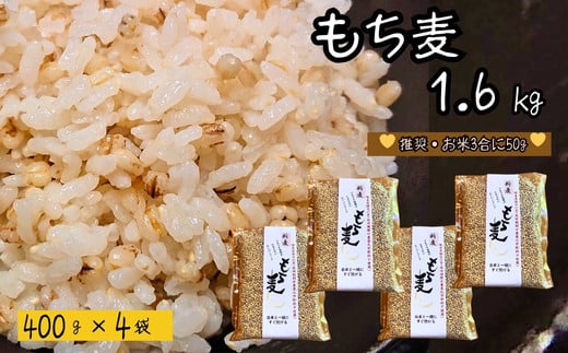 もち麦 【1.6kg】 そのままごはんと一緒にすぐ炊ける 8ぶづき ~栽培期間中 化学肥料 農薬不使用~【7月~3月の間に順次発送】G15-11 921494 - 岐阜県関市