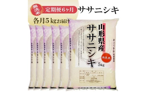 1157T03　【定期便】無洗米ササニシキ5kg×6ヶ月連続（3月～8月）