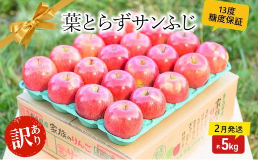 【 2月発送 】糖度13度以上 訳あり 家庭用 葉とらず サンふじ 約 5kg 【 弘前市産 青森りんご 】 果物 フルーツ 食後 デザート 青森県産 産地直送 1129250 - 青森県弘前市