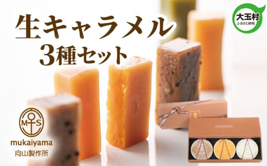 おすすめ 生キャラメル セット 3種 ( ミルク カラメル 紅茶 ) 向山製作所 | スイーツ 人気 詰め合わせ ギフト お歳暮 贈り物 プレゼント 贈答 キャラメル カラメル 紅茶 ミルク アールグレイ ミルクティー キャラメリゼ お取り寄せ 福島県 大玉村 菓子 | 03011